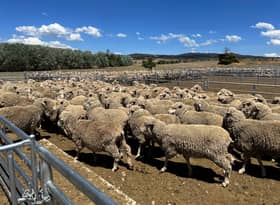 Australia’s red meat industry drops 2030 carbon neutrality goal