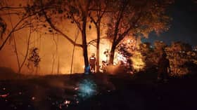 Bomba: Aktiviti manusia disyaki punca kebakaran hutan, belukar