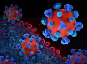 WHO: 1.3m contract HIV in 2024 amid funding cuts 