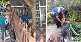 灵市厅与民携手办两场 打击黑斑蚊活动