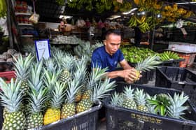NZ keen to boost pineapple imports from Malaysia — DPM