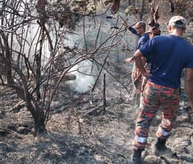 Bomba berjaya padam 80 peratus kebakaran hutan di Kuala Kubu Bharu