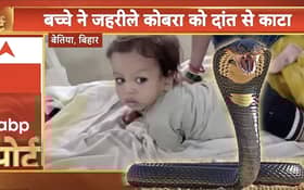 தனது கையை சுற்றிய 3 அடி நீளமுள்ள நச்சு பாம்பை கடித்து கொன்ற குழந்தை மருத்துவமனையில்!