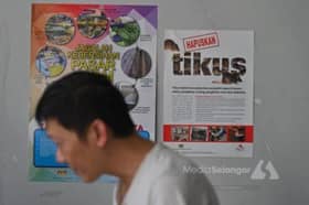 Tikus mengganas ketika cuaca panas?