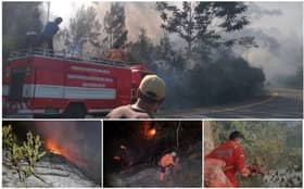 印尼苏门答腊北西部发生林火   烧毁面积达46公顷！