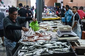 Harga ikan di Terengganu stabil, peniaga pilih jaga hati pelanggan