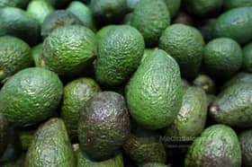 Avocado enak dan berkhasiat, bantu lancar sistem penghadaman