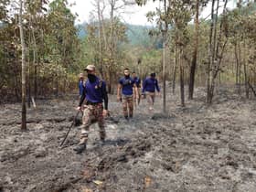 烧了将近两天！新古毛60英亩林火终扑灭