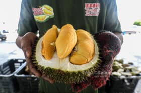 Eksport durian Malaysia dijangka cecah RM1.5 bilion tahun ini