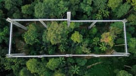 FRIM’s World Heritage status to boost ecotourism, stimulate green economy — State rep