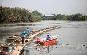 Massive Sg Klang cleanup, five years on