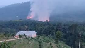 KKB forest fire razes 22ha, still raging