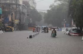 பஞ்சாப் மாநிலம் முழுவதும் கடும் மழை - 63 பேர் மரணம்