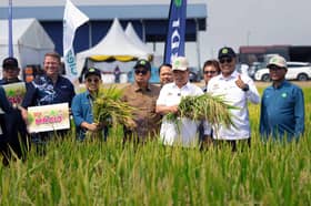 稻田干旱区将布云造雨 吉辇区输水计划8月启动