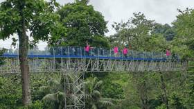 Selangor Forest Park’s Unesco status to boost tourism, Visit Selangor Year campaign