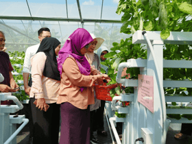 Laman Hijau Hidroponik inisiatif penduduk jimat belanja, subur semangat kejiranan