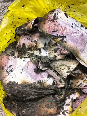 数据中心贪污案：反贪会鉴定另两家公司涉案