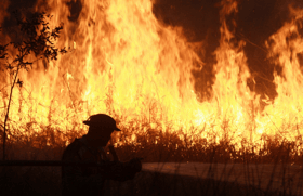 Recent Data shows AI source answers from Reddit