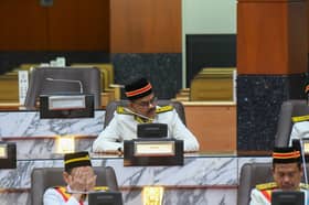 质疑政府合法性等同挑战元首   雪议员：勿让政治凌驾宪法