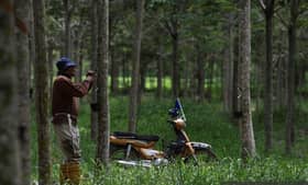 FGV’s historic delisting offers more freedom to Felda