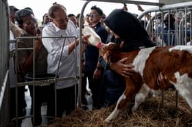 东盟关系拓展广阔合作空间    安华：农业与乳业受益