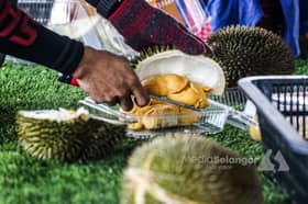 Durian dan strok: mitos atau realiti?
