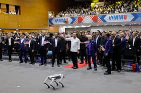 私营化变“海盗行为”成借鉴 安华：AI发展须纳入良好治理