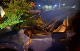 Pokok tumbang hempap kereta, ibu dan anak selamat