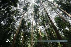 FRIM diiktiraf Unesco, bukti kejayaan pemulihan hutan tropika buatan