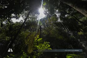 State played crucial role in Selangor Forest Park’s world heritage recognition