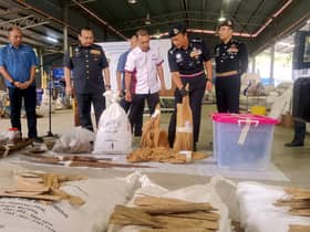 Kayu gaharu bernilai lebih RM106 juta dirampas