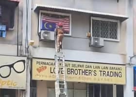 Kes pasang Jalur Gemilang terbalik, polis rakam keterangan pemilik premis