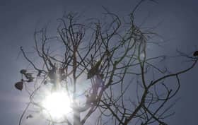 启用高风险区约3300口管井  应付西南季风长期干旱天气