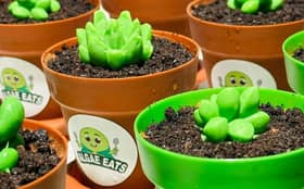 A startup’s bold mission to improve soil, food security