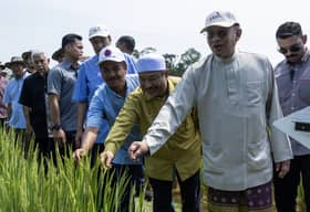 PM Anwar tinjau projek padi organik Desa Gemalai