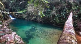 大马保持54%森林覆盖率  部长：平衡经济与环境