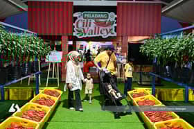 雪农业嘉年华料吸5万人到访 放眼创50万潜在销售额