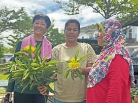Kebun tuai kasih persahabatan tiga wanita beza bangsa