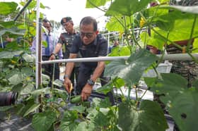 【昌明经济项目】 分阶在90个军营推广  防长指年产9吨农作