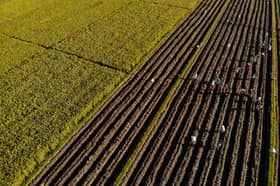 茂木敏充吁东亚稳金融保粮安  特朗普启程访日再塑美日关系