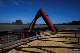 China buys Argentine soybeans after tax drop, leaving US farmers sidelined