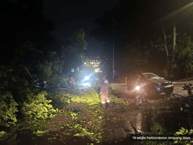 狂风暴雨袭巴生谷 安邦市会接16宗树倒投报