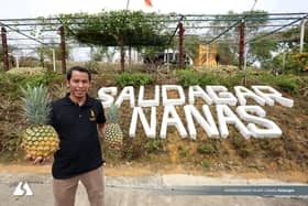 Bangkit dari kejatuhan: Saudagar Nanas diiktiraf Ikon Agro Selangor