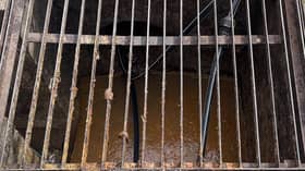 武吉伯伦东某食肆有老鼠屎尿   乌雪市会勒令关闭发8罚单