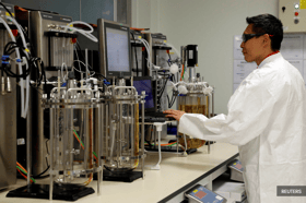 US tariffs threaten SG$4b of Singapore's pharma exports, trade talks ongoing