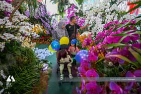 Selangor Agrofest 2025 showcases 4,000 orchid plants, agricultural technology hub