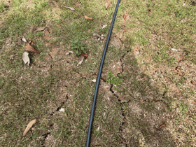 Minor 2.9 magnitude quake detected in Sri Medan, Johor