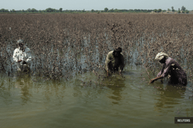 Pakistan thanks Malaysia for providing flood aid