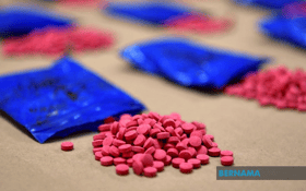 Zahid expresses grave concern over drug scourge reaching primary schools