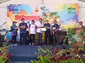 Rebounding after RM1.5m loss, entrepreneur produces 250 tonnes of cassava monthly